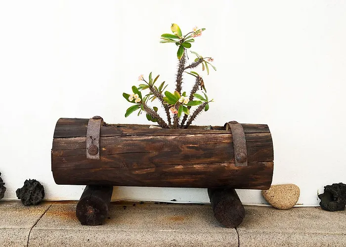 Guest house El Hotelito Del Golfo El Golfo