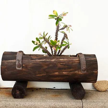 Πανσιόν El Hotelito Del Golfo El Golfo